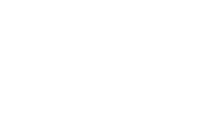 STUDIO BEARPAW